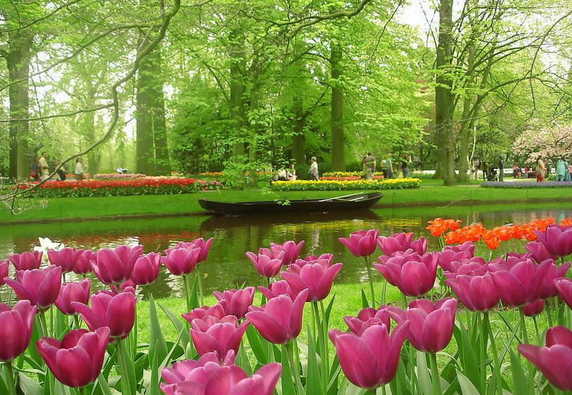 德法意瑞、荷蘭11天【一價全含】拒簽退全款**贈